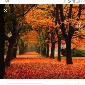 Meet your Posher, Amarie